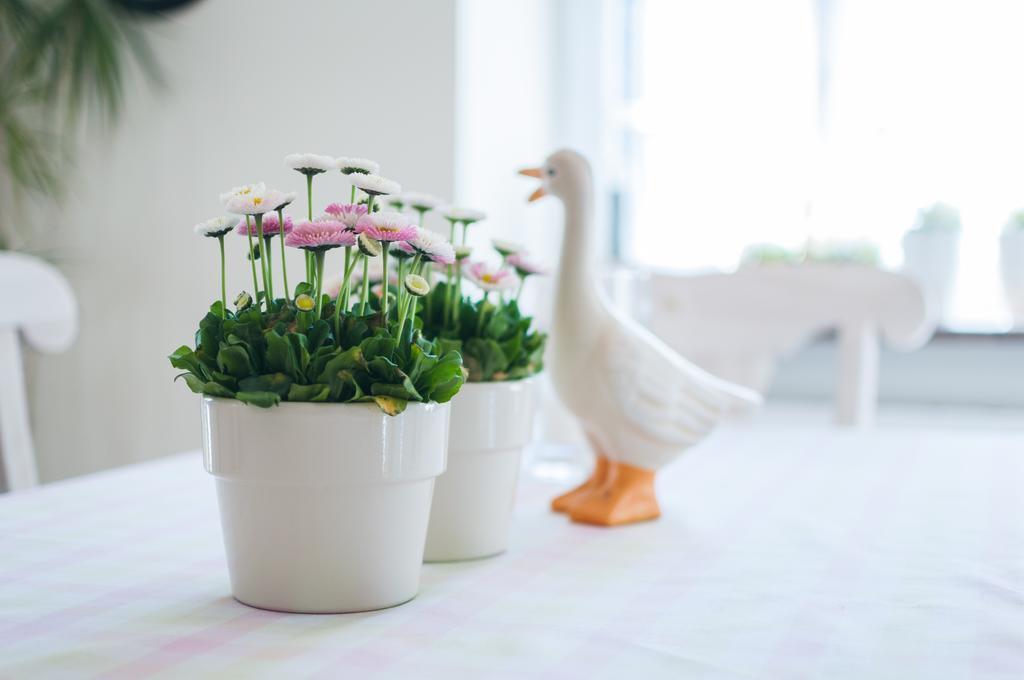 Mon Plaisir Apartment Karpacz Bagian luar foto